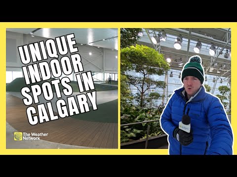 3 Unique Spots to Embrace the Great Indoors in Calgary this Winter