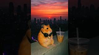 Chill aquí