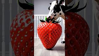 Marvelous Dancing Polish Cow funny horse strawberry asmr cow dance Cow Videos animal funny video