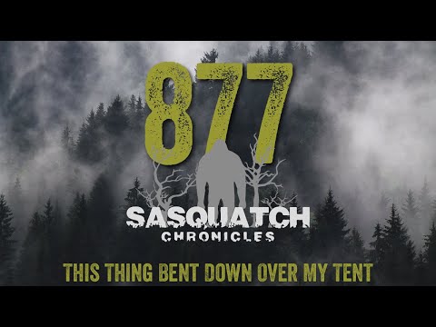 SC EP:877 This Thing Bent Down Over My Tent