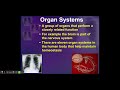 Exploring Human Body Systems