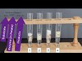 Enzyme Activity and Potato Experiment