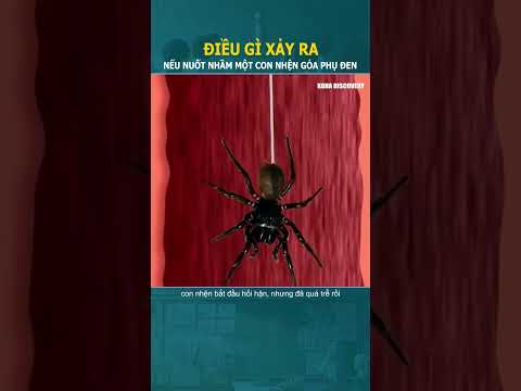 Điều gì xảy ra nếu bạn nuốt một con nhện góa phụ đen? #shorts
