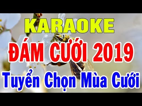 Karaoke Liên khúc Nhạc Đám Cưới 2019 | Nhạc Sống Tuyển Chọn Những Bài Mùa Cưới | Trọng Hiếu