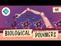 Biological Molecules and Their Functions