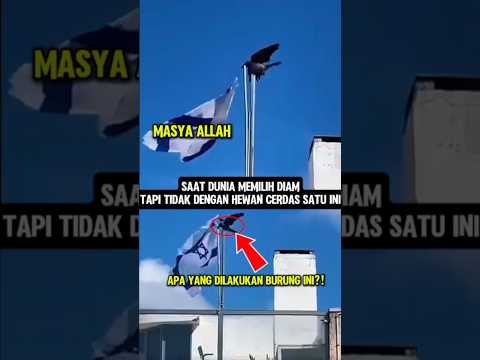 Kuasa Allah‼️Saat dunia memilih diam tapi tidak dengan hewan ini #videoshort #info #muslimpulsee