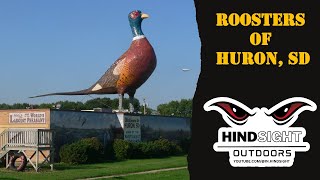 Roosters of Huron, SD