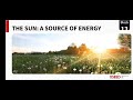 Photosynthesis and Energy Flow in Ecosystems