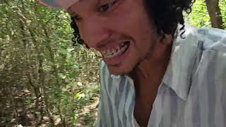 BUSCANDO PAJARITOS