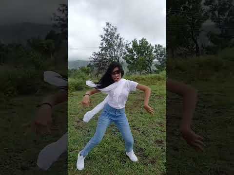 പിന്നെയും തകർപ്പൻ ഡാൻസുമായി രേണു #dance #viralvideo