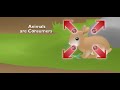 Ecosystem Interactions and Factors