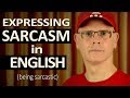Understanding Sarcasm and Satire
