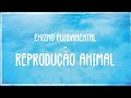 Reprodução e Desenvolvimento de Espécies