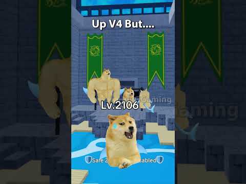 Up Race V4 But...... #bloxfruits #memebloxfruits #dogmemes