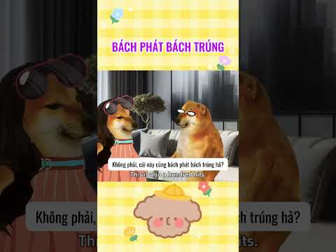 bách phát bách trúng | Cheems thiên tài #giaitri #cheems