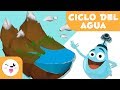 Water Cycle Concepts and Processes