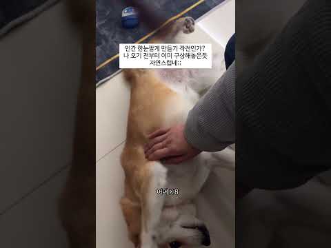 식탁 옆 박스 딛고 사탕득템