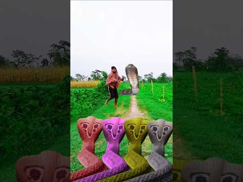 lal lil#snake aya#hqrq ahra shambhu#cnake#aya#cnake aya