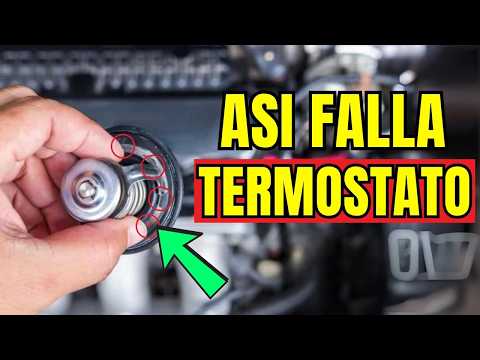 Así Falla Tu Auto con el Termostato Dañado (Y Cómo Revisarlo en Casa)