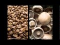 Biomimicry and Sustainable Design
