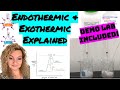 Exploring Exothermic and Endothermic Reactions