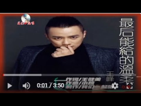 王峰   最後能給的溫柔 DJ版KTV