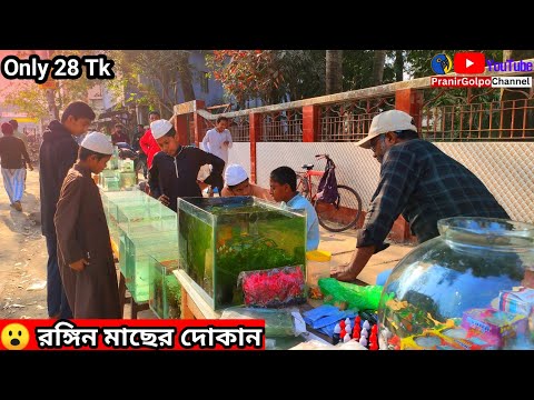 Aquarium Price In Bangladesh। Aquarium Fish Price In Khulna। Aquarium Fish Price In Bangladesh