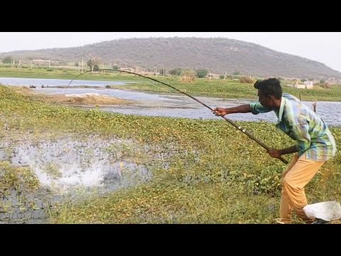 SINGLE HOOK 🎣 FOLAT FISHING IN BiG ROHU FISHES to Catching By LOCAL RIVER