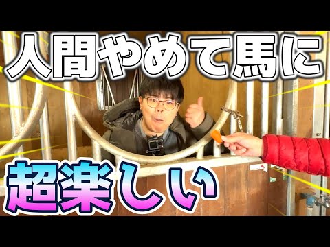 人間やめて馬になってみた！【マチウマ牧場】