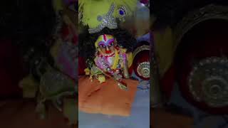 Chhota Sa baccha Hai #laddu #krishna