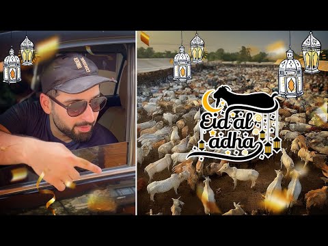 WE VISITED THE COW MANDI | EXTREME NEGOTIATIONS | 2024