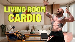 MERACH 950 Rower -living room upgrade #merach #merach950 #ad