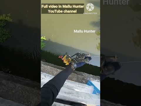 Slingshot fishing Kerala/ Mallu Hunter