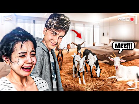 LÜKS REZİDANCE I Çiftliğe Çevirdim! 😱