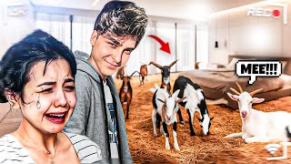 LÜKS REZİDANCE I Çiftliğe Çevirdim! 😱