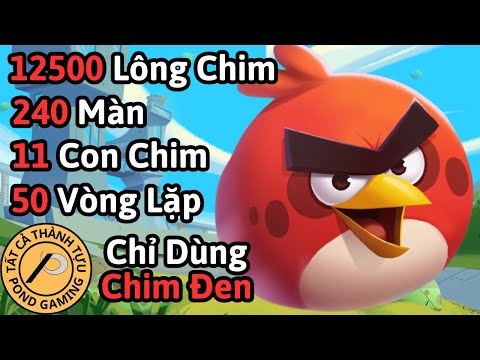 Tôi Phá Đảo Tất Cả Thành Tựu Trong Angry Birds 2