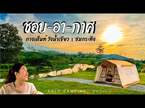 สูดโอโซนกางเต็นท์เห็นกระทิงชอบอากาศวังน้ำเขียวโคราชภูเขารอบ3