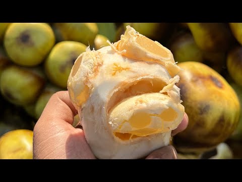 Amazing Palm Fruit Cutting | Street Food Bangladesh