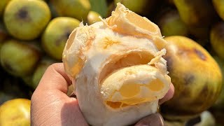 Amazing Palm Fruit Cutting | Street Food Bangladesh