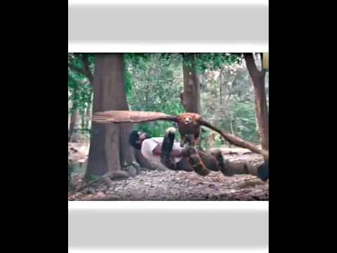 snake attack bird save the boy #ytshorts