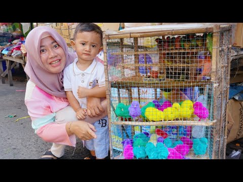 AZAM BELI AYAM WARNA WARNI BUAT ALI 😱 DAN MENANGKAP AYAM