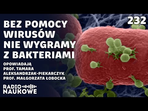 Wojna z bakteriami - czy właśnie przegrywamy? | prof. T. Aleksandrzak-Piekarczyk, prof. M. Łobocka