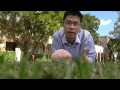 Phantom Limb Sensations and Brain Function