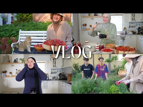 Alleinerziehend mit sieben Teenagern 😮‍💨 & Ich pflanze das erste mal Gemüse an 🌱| VLOG