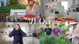 Alleinerziehend mit sieben Teenagern 😮‍💨 & Ich pflanze das erste mal Gemüse an 🌱| VLOG