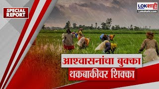 Special Report | Farmers Loan Waiver | कर्जमाफीच्या आशेवर शेतकरी, कोणत्या बँकांची किती कर्ज थकली?