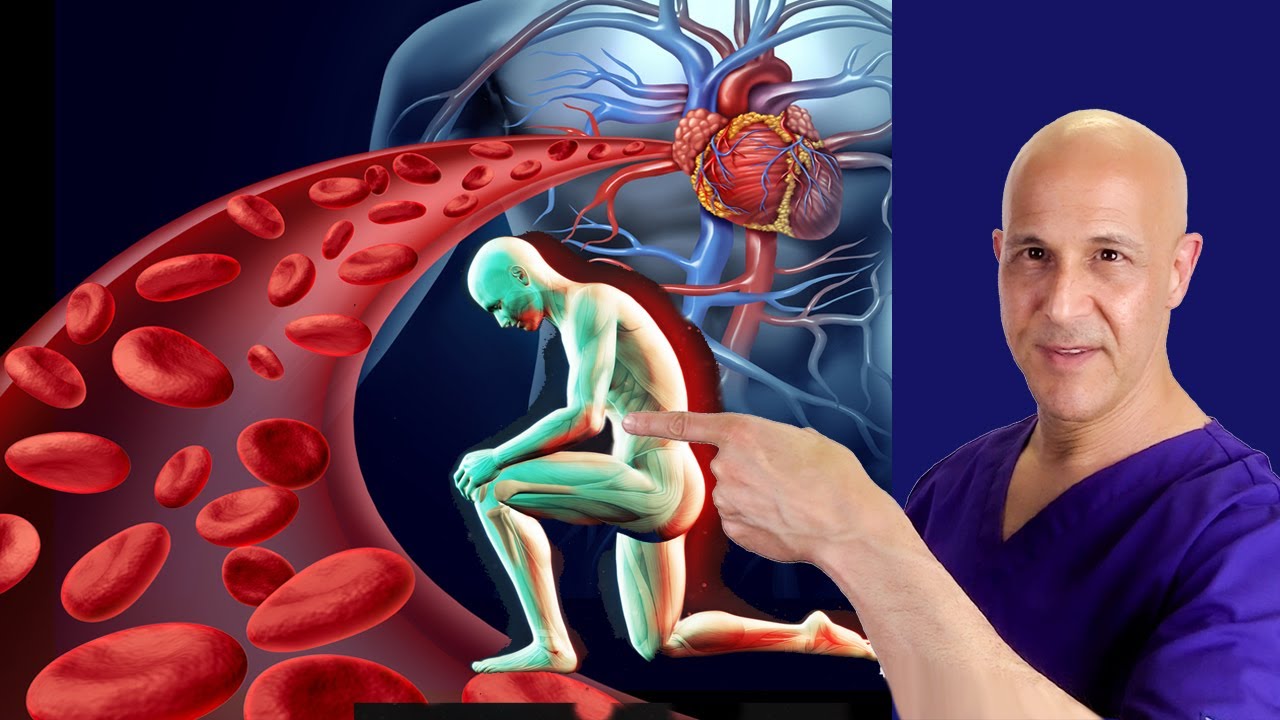 The Best ANTI-INFLAMMATORY SUPERFOODS for Joint Pain, Heart & Arteries | Dr. Mandell