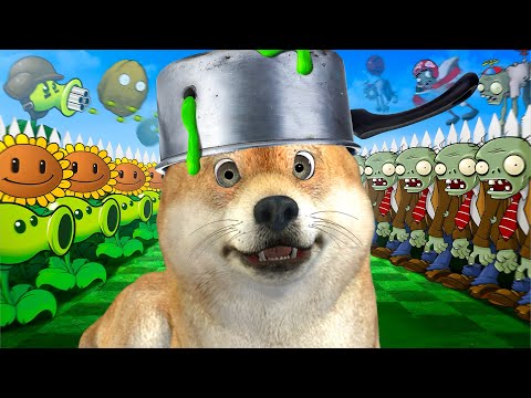 DogBerg jogando PLANTAS vs ZOMBIES...