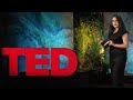 Understanding Plastic Pollution and Its Impact