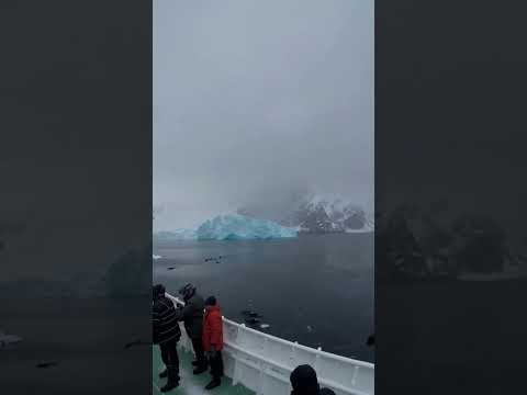 Ocean Majesty | Snow storm in arctic adventure tour #arctic #stormseries #shorts #ships #oceans #ai